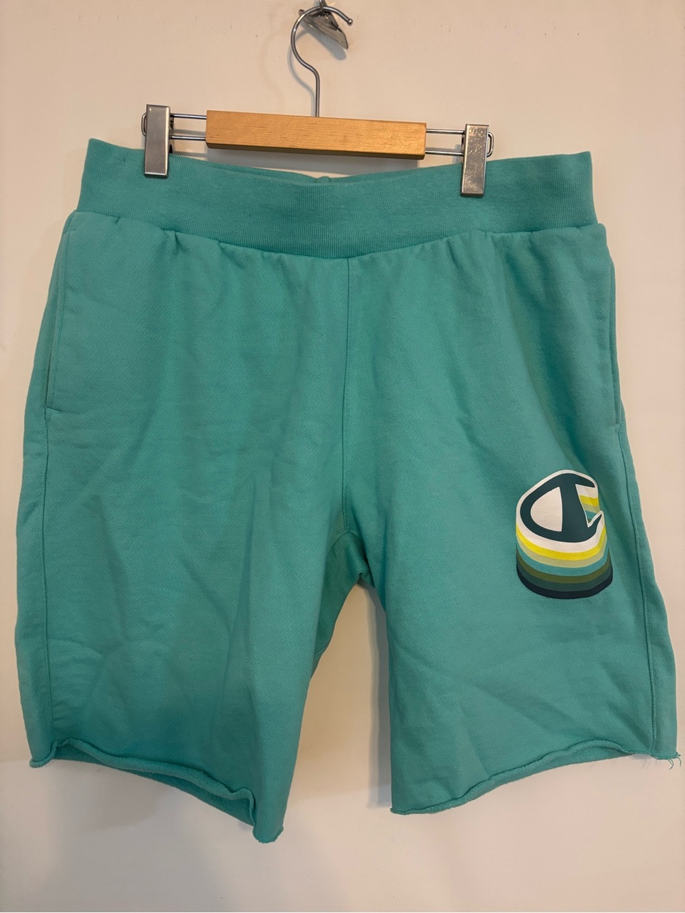 Champion reverse weave Teal Athletic Logo Knit Shorts